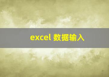 excel 数据输入